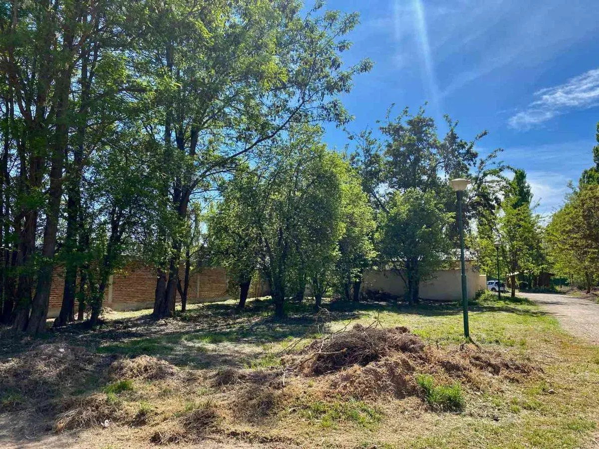 LOTE EN VENTA EN LOTEO SANCHEZ ENTORNO NATURAL 3