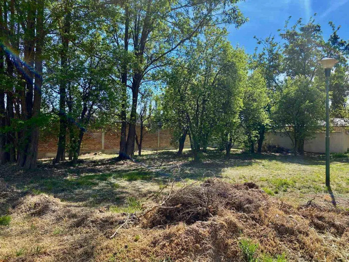 LOTE EN VENTA EN LOTEO SANCHEZ ENTORNO NATURAL 8