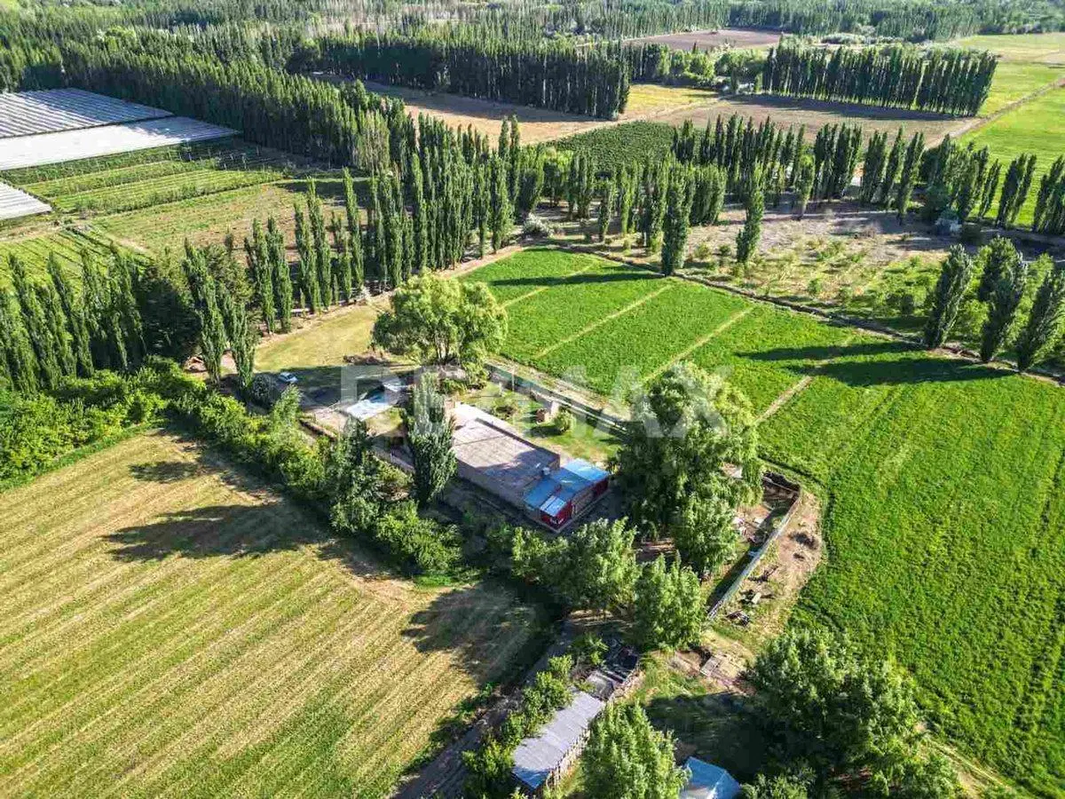 VENTA CHACRA VISTA ALEGRE SUR 4
