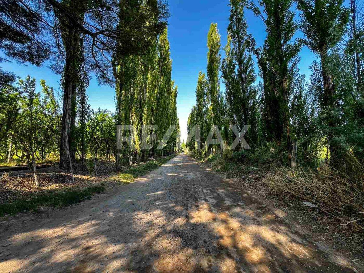 Foto de VENTA CHACRA VISTA ALEGRE SUR, imagen 3