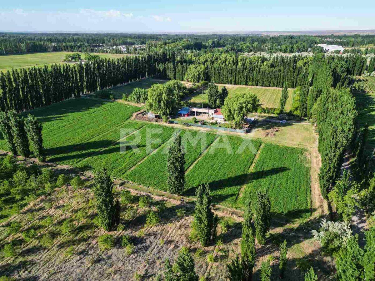Foto de VENTA CHACRA VISTA ALEGRE SUR, imagen 2