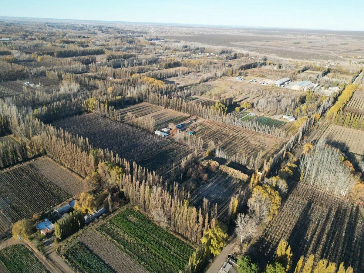 VENTA CHACRA VISTA ALEGRE SUR 2