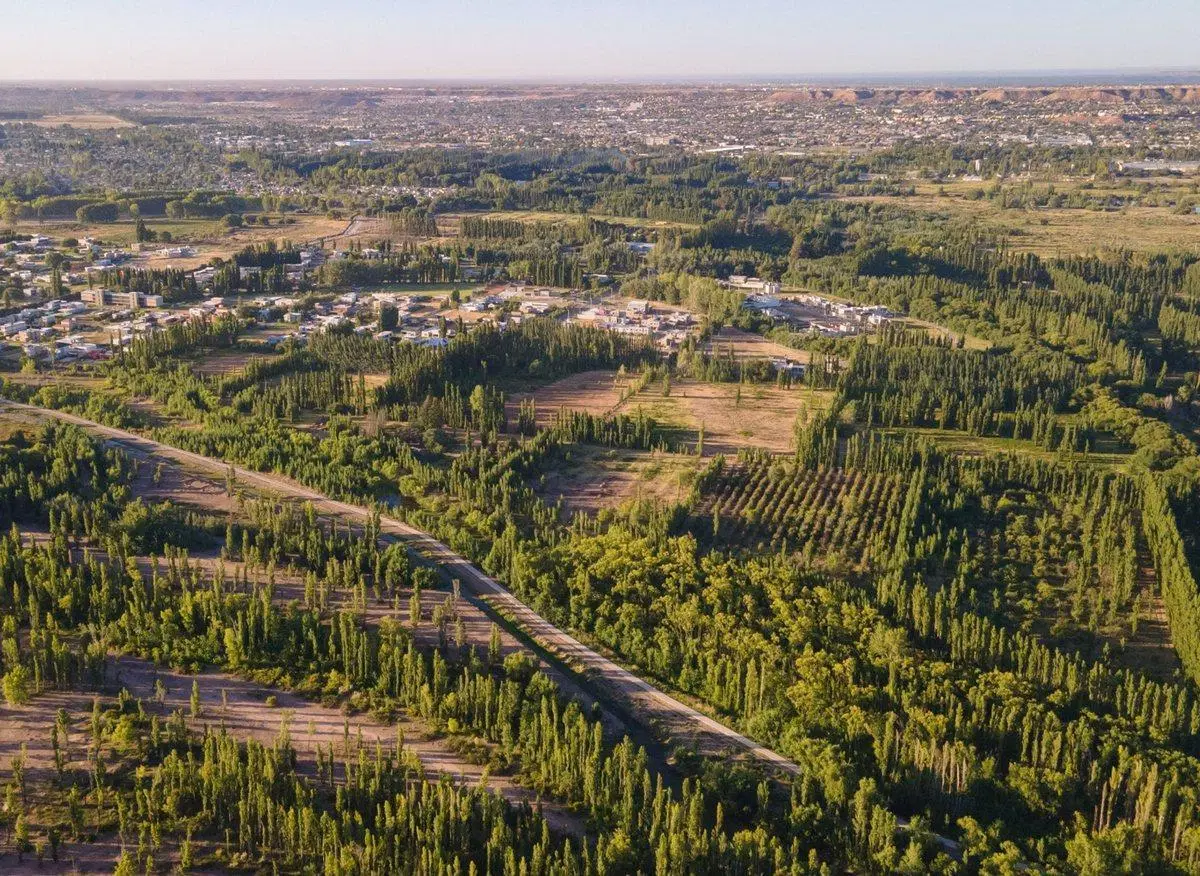 Venta Lote en La Ribera Pueblo 5
