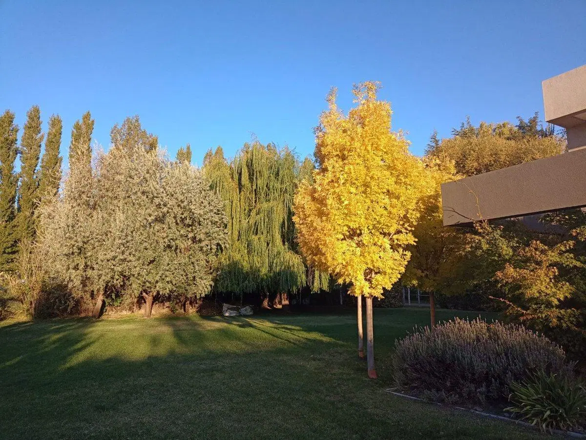 VENTA TERRENO BARRIO PRIVADO SAUCES DEL LIMAY 4