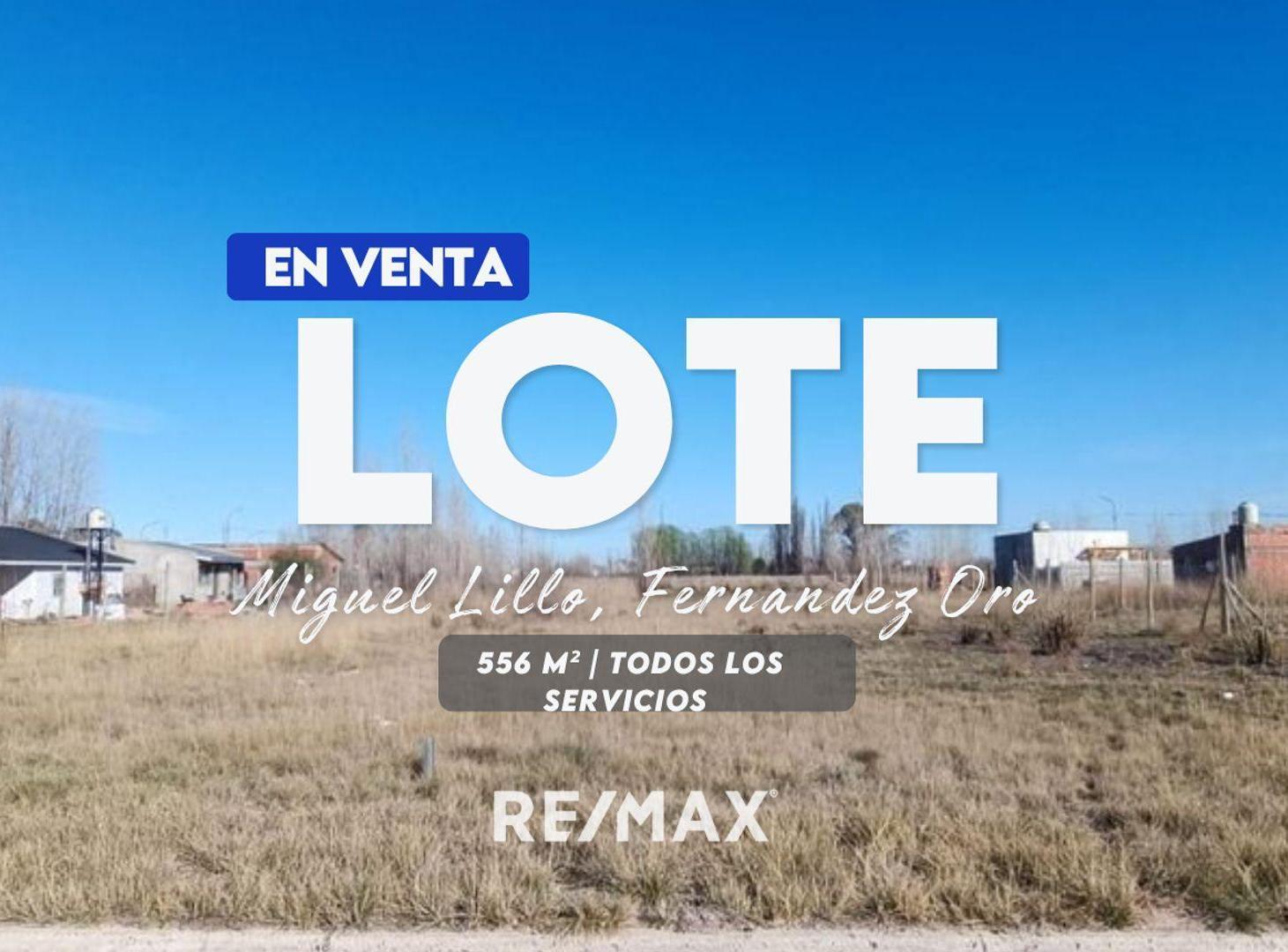 Foto de VENTA LOTE FERNANDEZ ORO 556M2, imagen 4