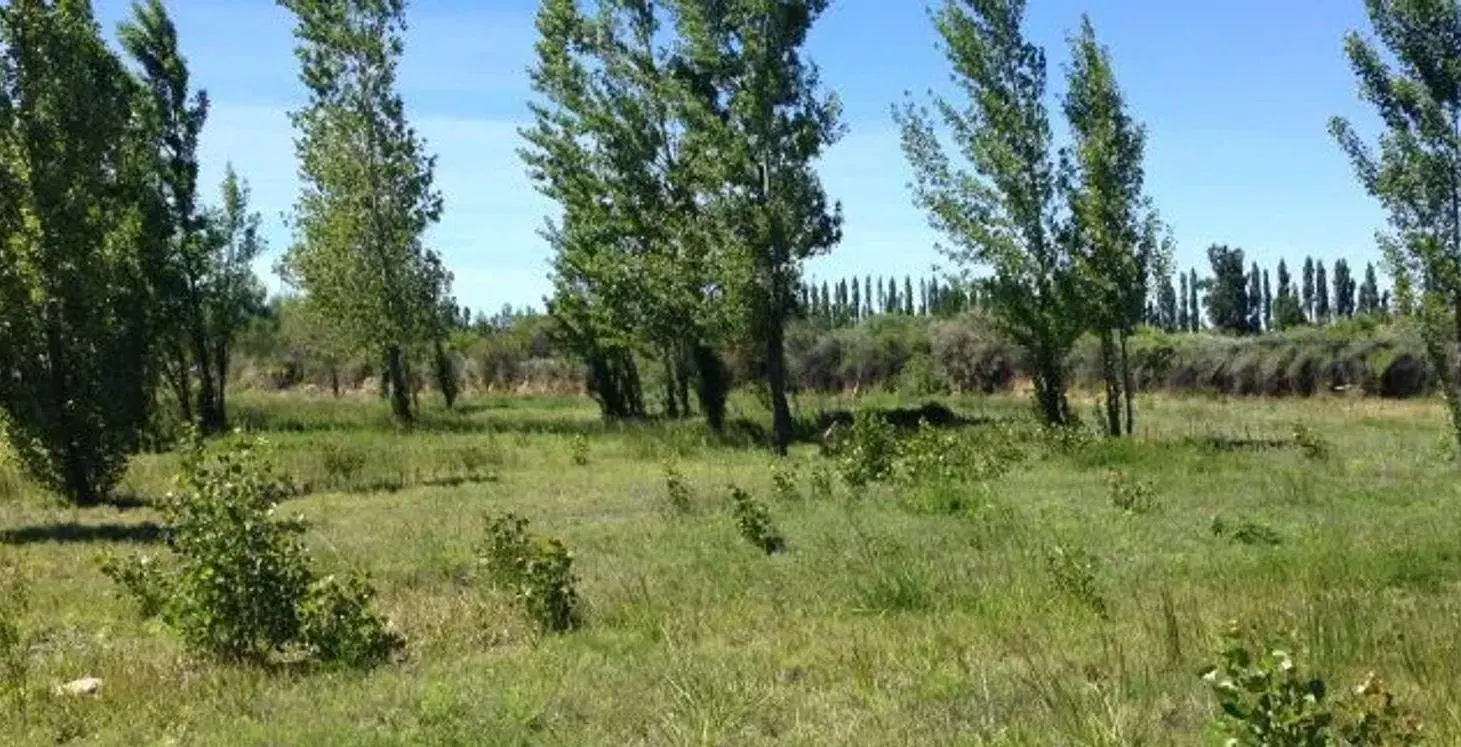 VENTA LOTE RINCON DE LOS PATOS 2