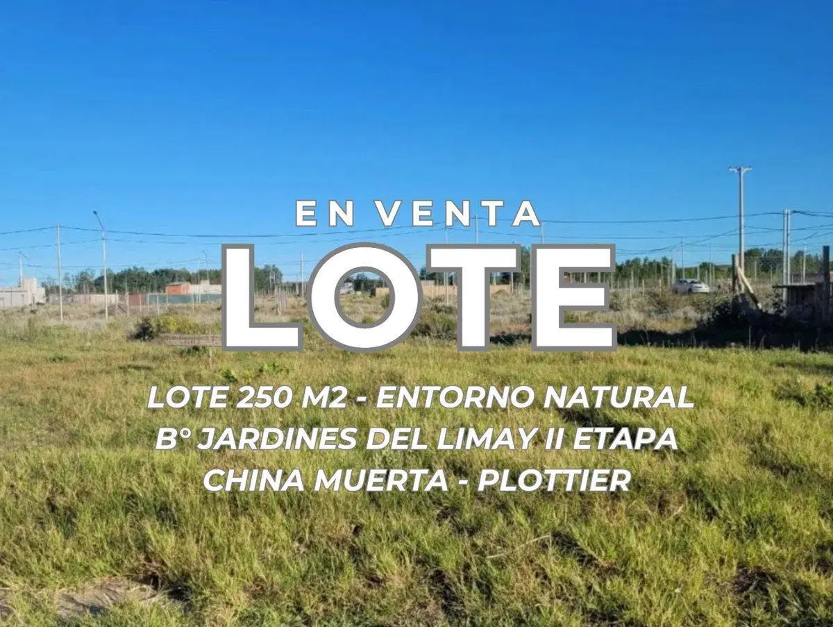 VENTA LOTE B°JARDINES DEL LIMAY CHINA MUERTA 2
