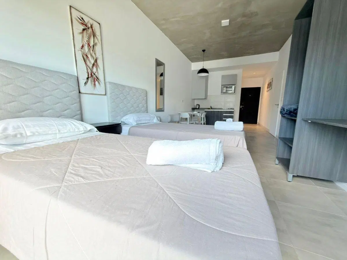 DEPARTAMENTO MONOAMBIENTE SAN PATRICIO DEL CHAÑAR 2