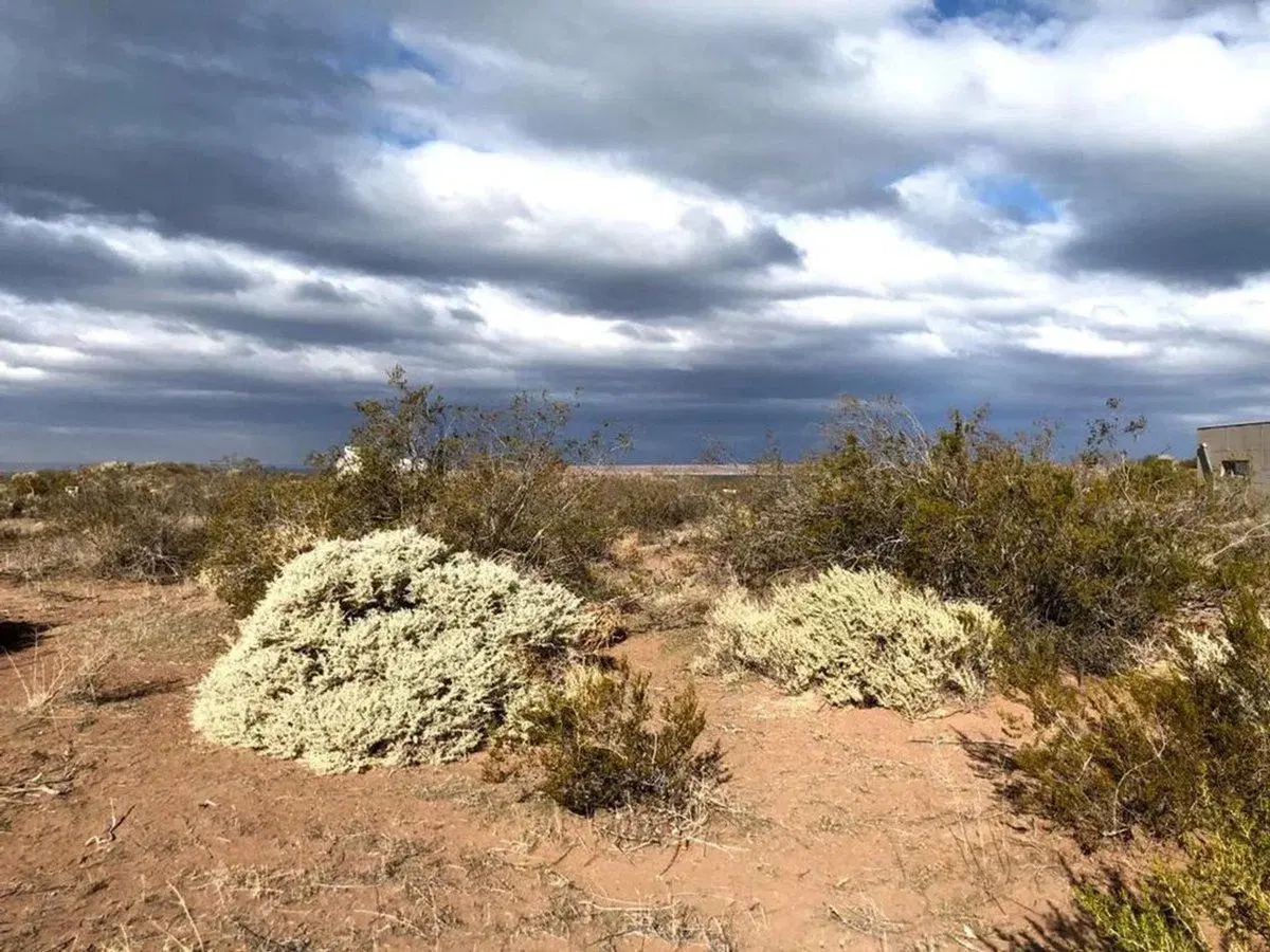 VENTA LOTE CHOCON MEDIO ETAPA PRADERAS 4