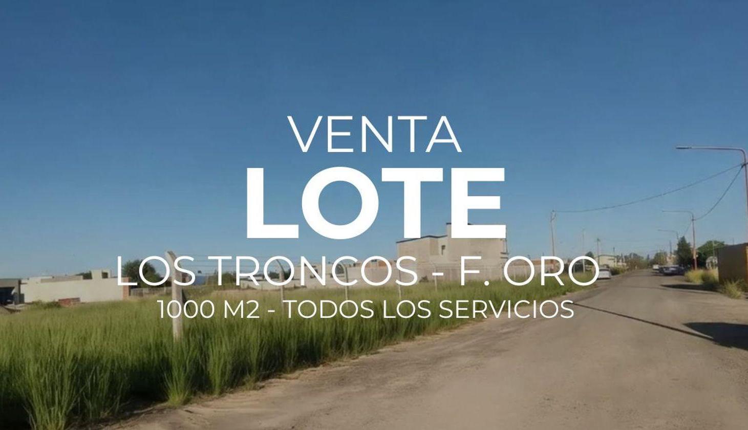 Foto de VENTA LOTE LOS TRONCOS, FERNANDEZ ORO, 1.000M², imagen 5