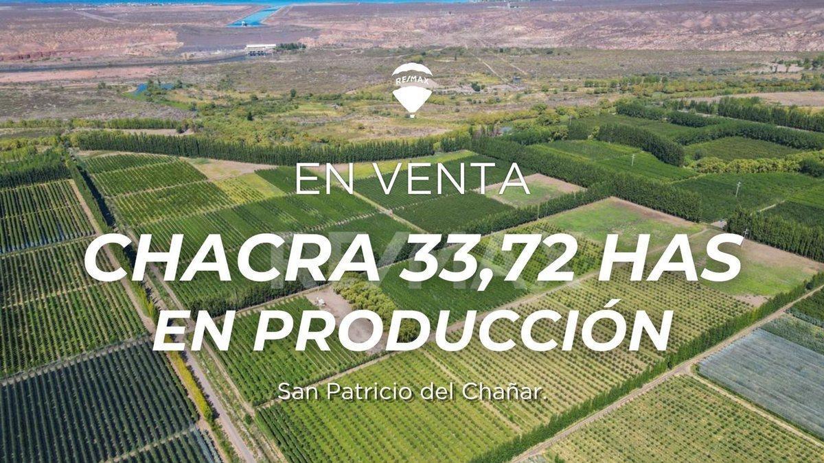 Foto de VENTA CHACRA 33,72 HTAS EN PRODUCCION, imagen 3