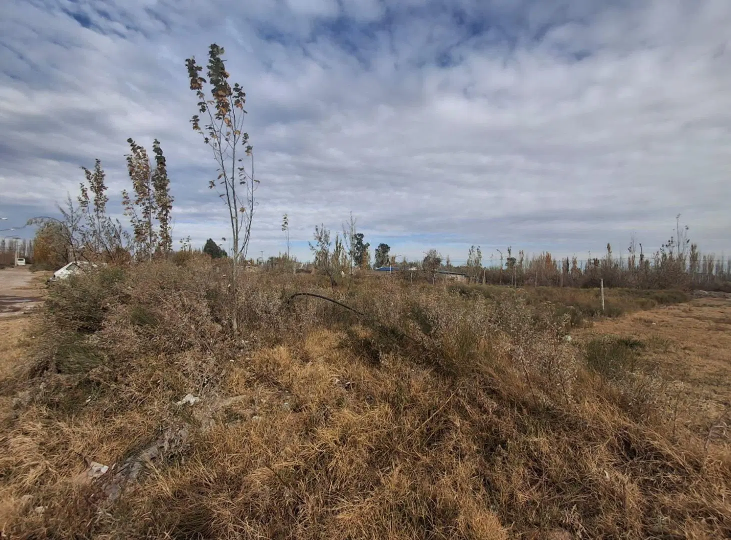 LOTE Bª SANTA LUCIA CINCO SALTOS 2