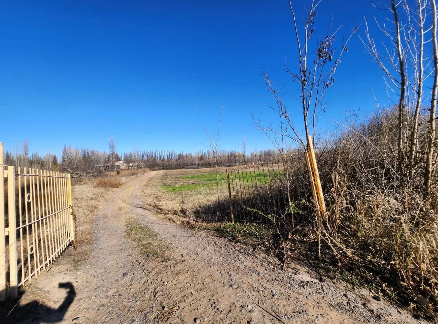 VENTA CHACRA 3,1 HECTAREAS EN VISTA ALEGRE SUR 3