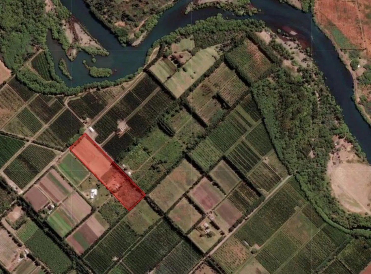 VENTA CHACRA 3,1 HECTAREAS EN VISTA ALEGRE SUR 2