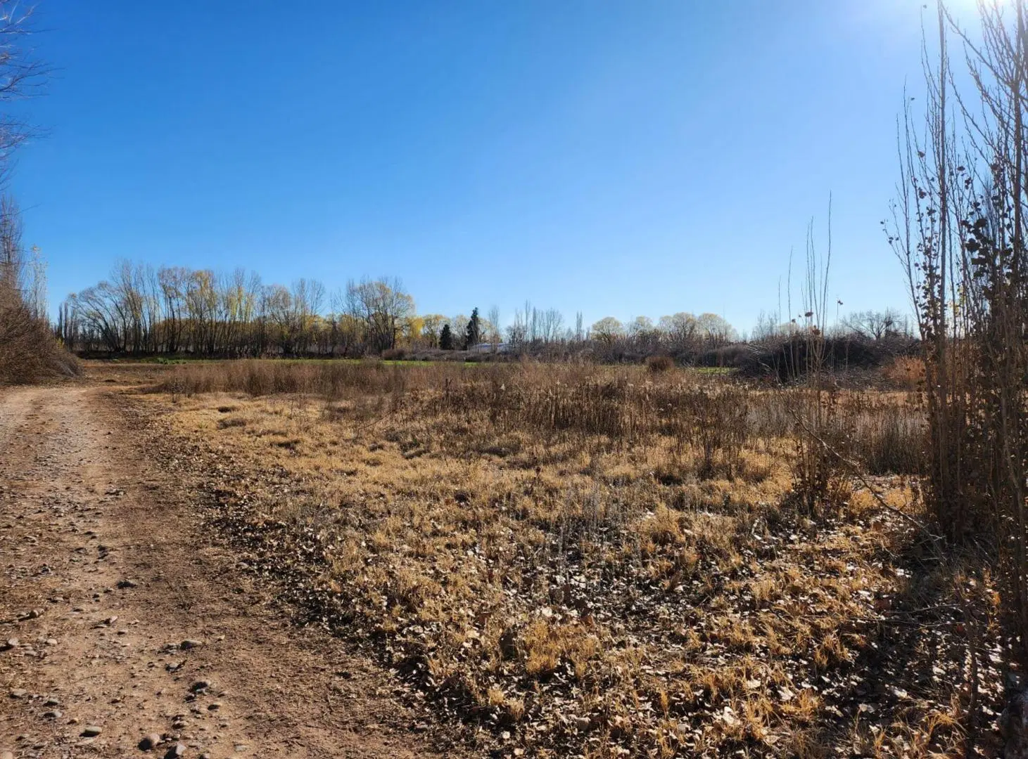 VENTA CHACRA 3,1 HECTAREAS EN VISTA ALEGRE SUR 8