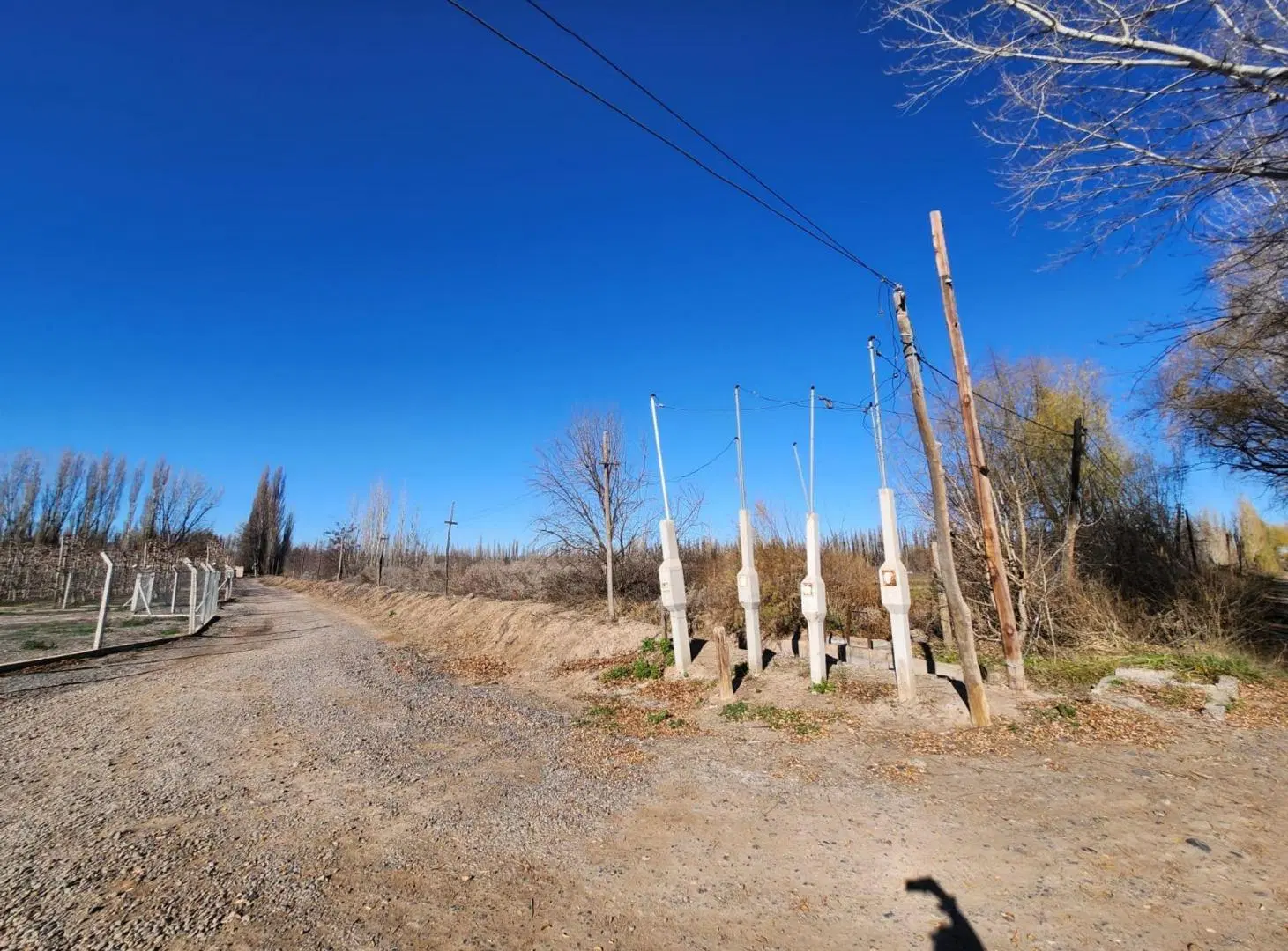 VENTA CHACRA 3,1 HECTAREAS EN VISTA ALEGRE SUR 5