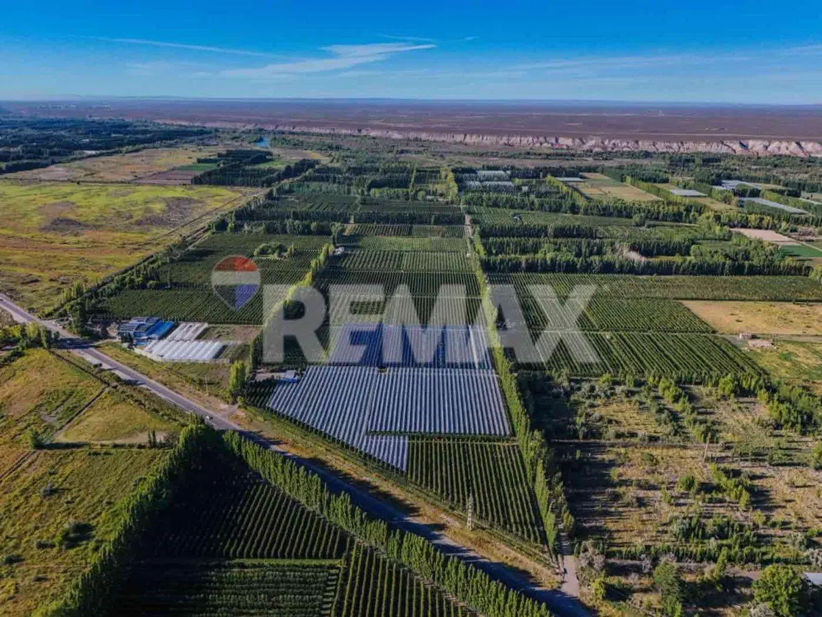 CHACRA PRODUCTIVA DE 19 HECTAREAS - FRENTE DE RUTA 3