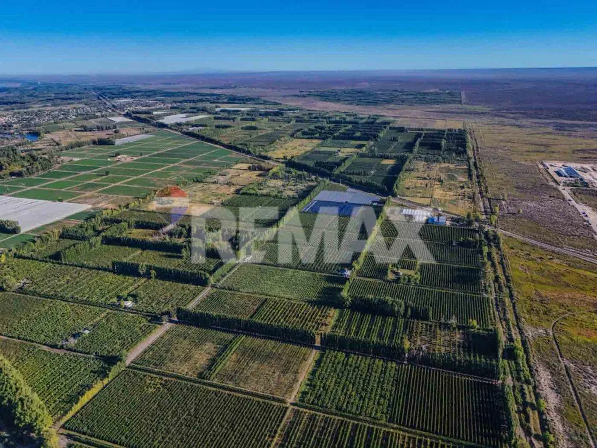CHACRA PRODUCTIVA DE 19 HECTAREAS - FRENTE DE RUTA 8