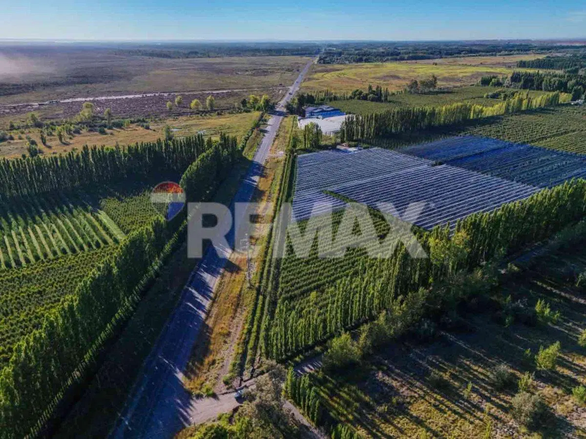 CHACRA PRODUCTIVA DE 19 HECTAREAS - FRENTE DE RUTA 2