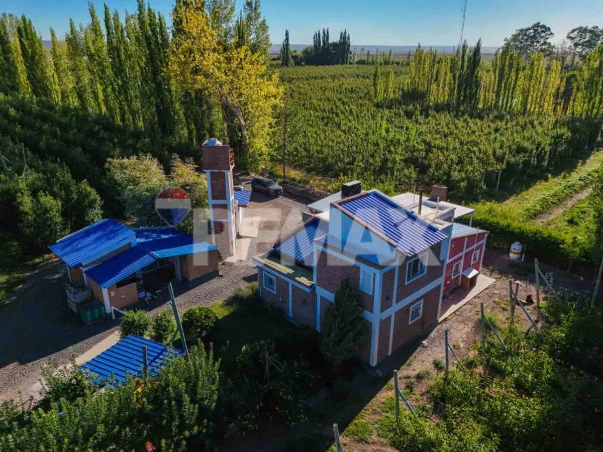CHACRA PRODUCTIVA DE 19 HECTAREAS - FRENTE DE RUTA 4