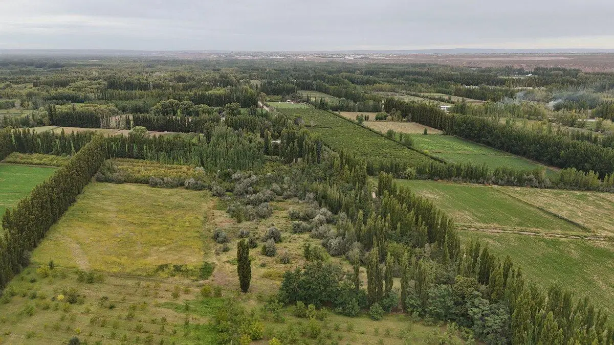 VENTA CHACRA 2,5HAS, CALLE 20 CENTENARIO - NEUQUÉN 5