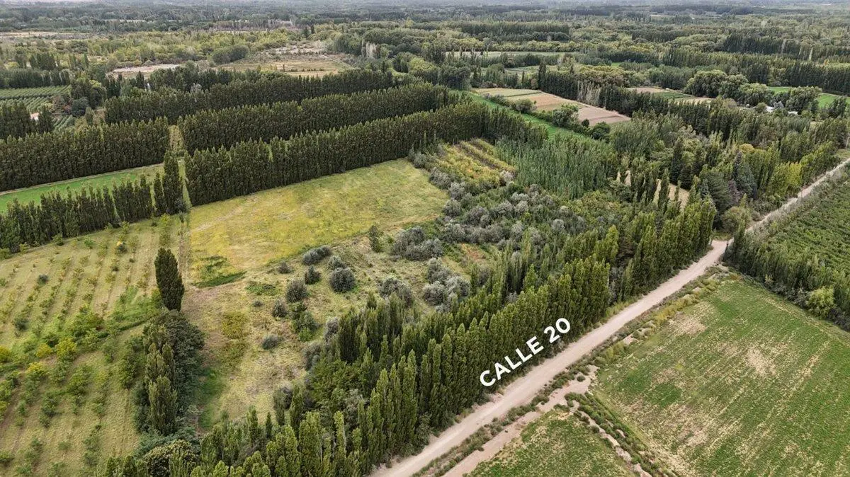 VENTA CHACRA 2,5HAS, CALLE 20 CENTENARIO - NEUQUÉN 2