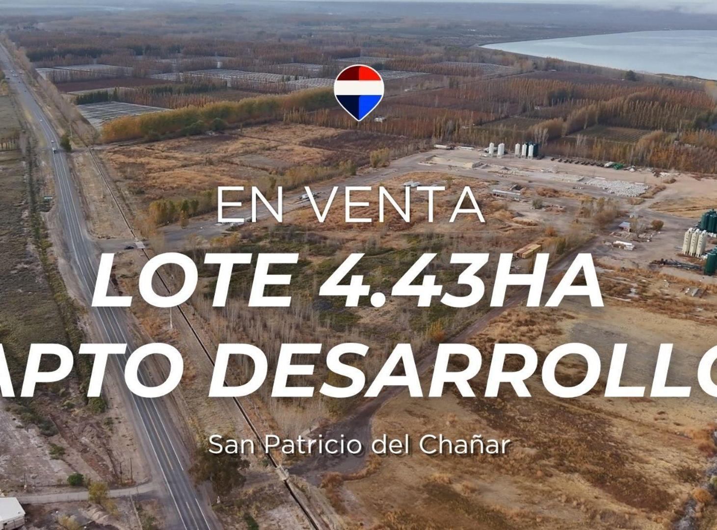 Foto de VENTA LOTE 4.43 HAS EN CHAÑAR FRENTE RUTA 7, imagen 1