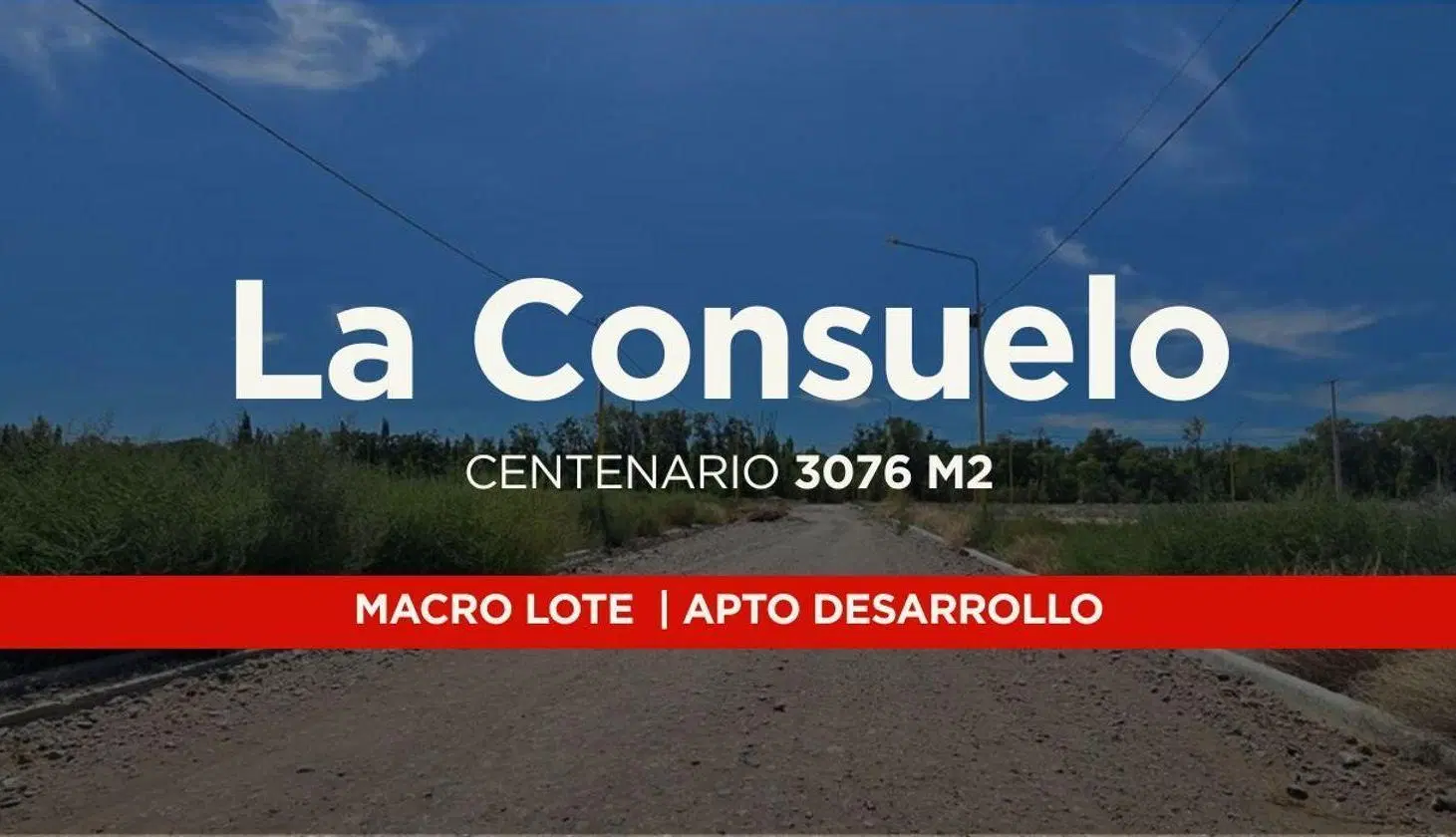 VENTA MACRO LOTE APTO DESARROLLO | CENTENARIO 4