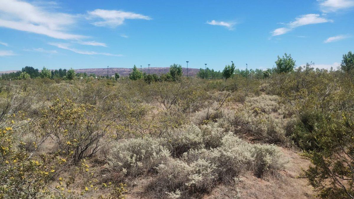 Foto de VENTA LOTE CHOCON MEDIO ETAPA MEDANOS, imagen 2