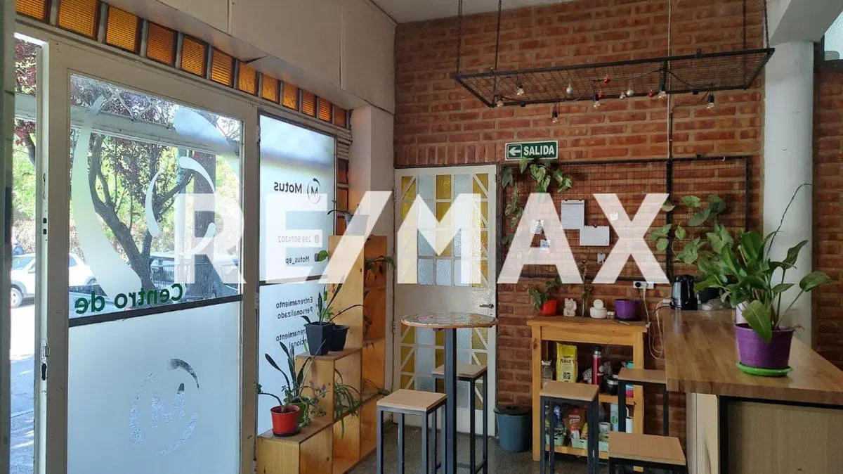 LOCAL COMERCIAL + DEPTO + CASA EN VENTA EN NEUQUÉN 4