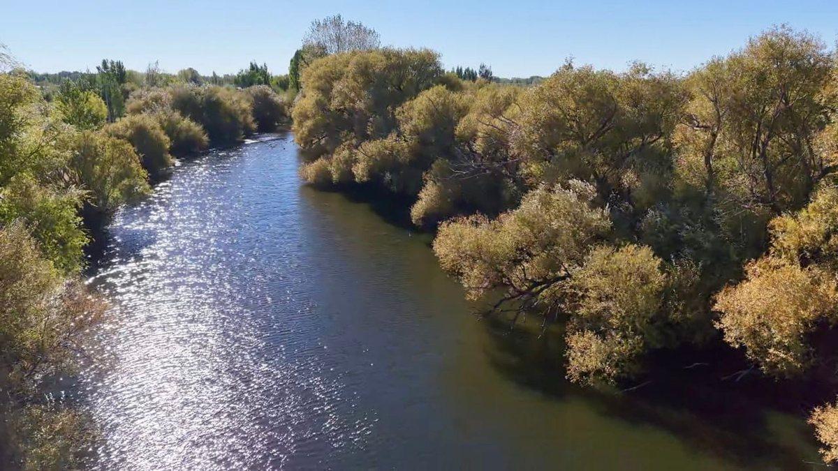 Foto de VENTA LOTE 250m2 MANANTIALES DEL LIMAY PLOTTIER, imagen 4