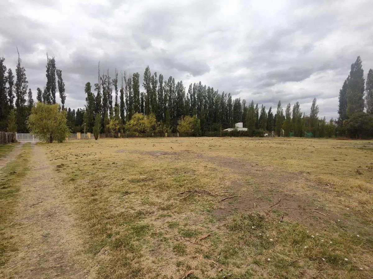 ALQUILER LOTE 5000 M2 RIO COLORADO 425 PLOTTIER 5