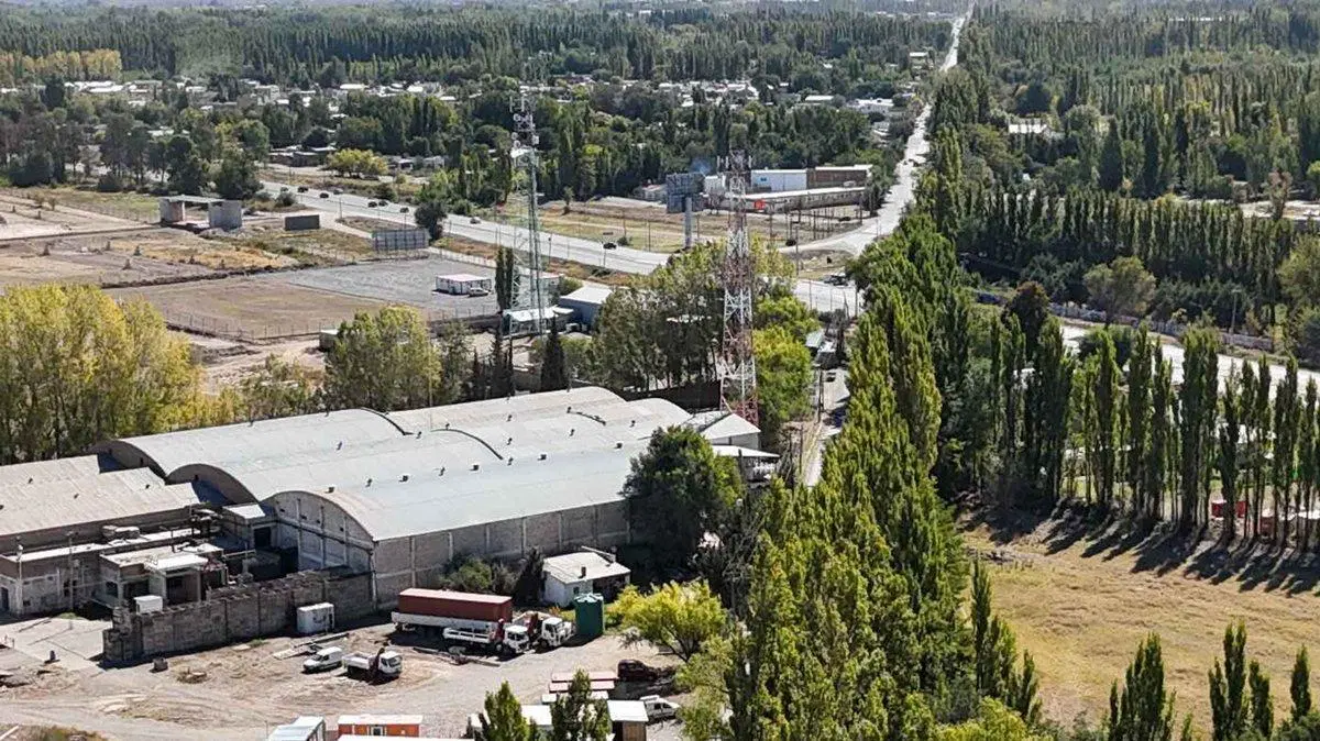 ALQUILER LOTE 5000 M2 RIO COLORADO 425 PLOTTIER 3