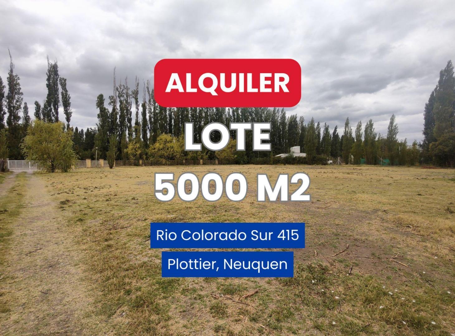Foto de ALQUILER LOTE 5000 M2 RIO COLORADO 425 PLOTTIER, imagen 1