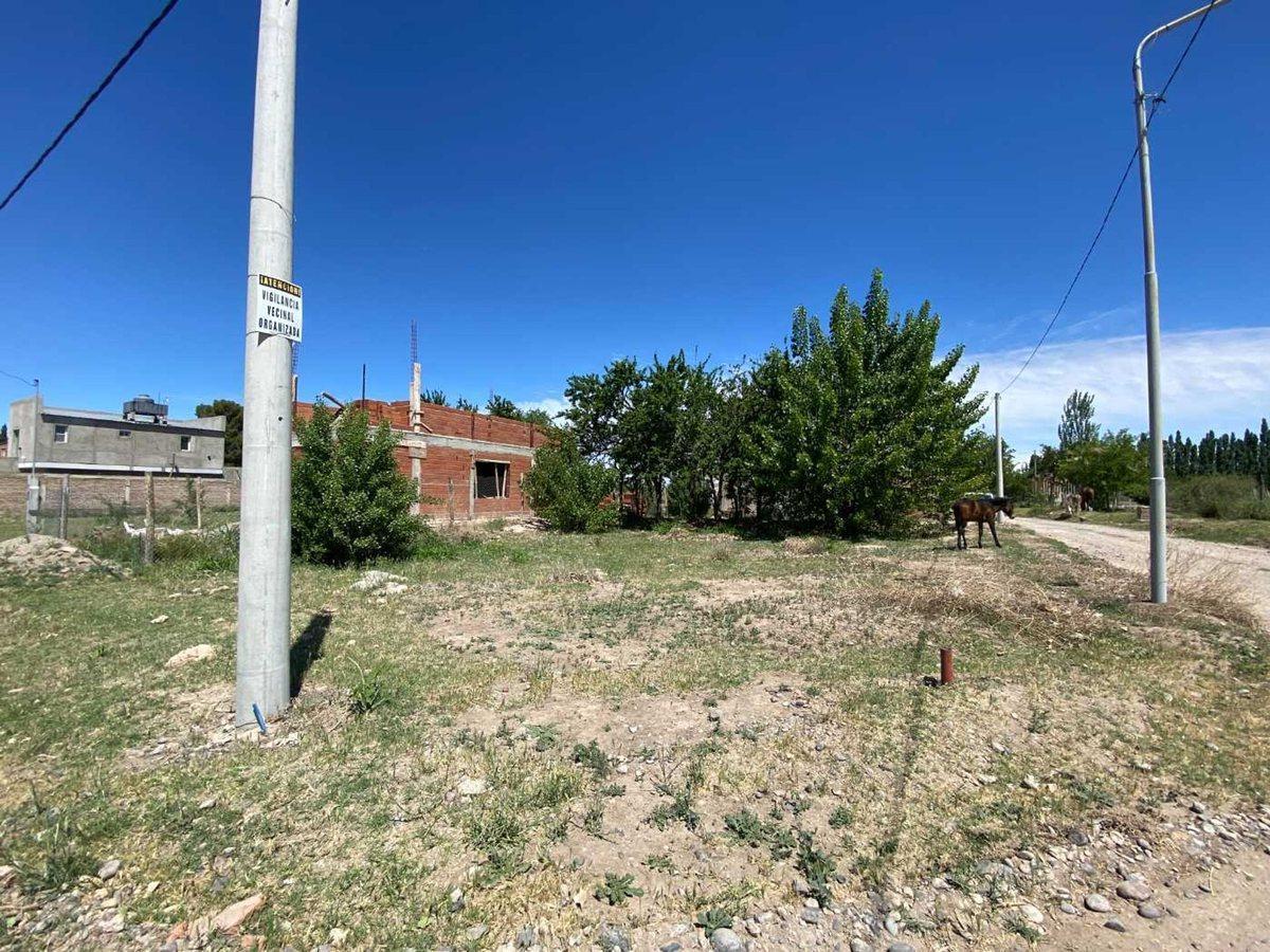 Foto de LOTE EN VENTA EN NEUQUÉN DON VICENTE, imagen 3