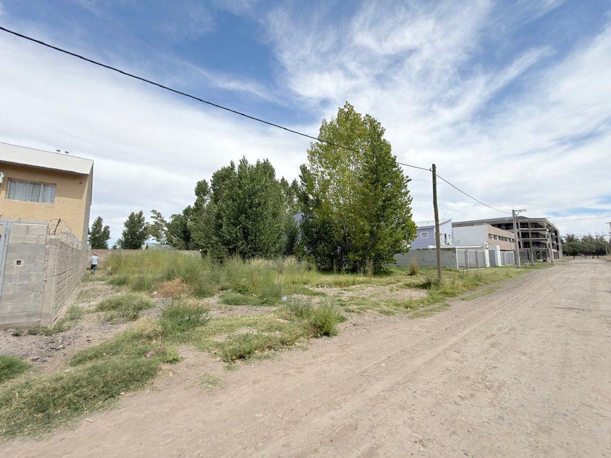 Foto de LOTE 750 M2 EN SAN PATRICIO DEL CHAÑAR, imagen 2