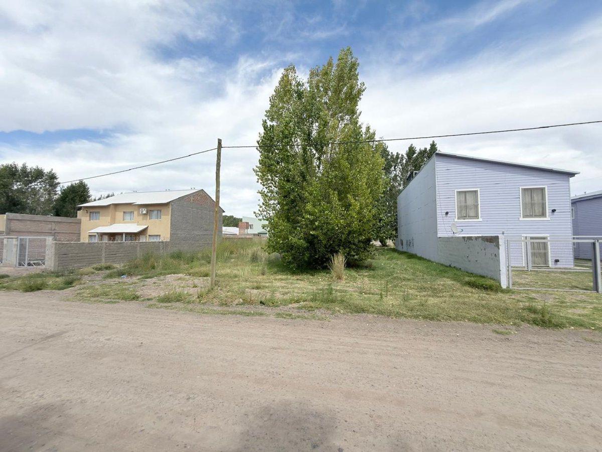 Foto de LOTE 750 M2 EN SAN PATRICIO DEL CHAÑAR, imagen 1