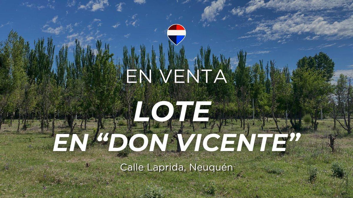 Foto de LOTE DON VICENTE EN VENTA EN NEUQUÉN, imagen 1