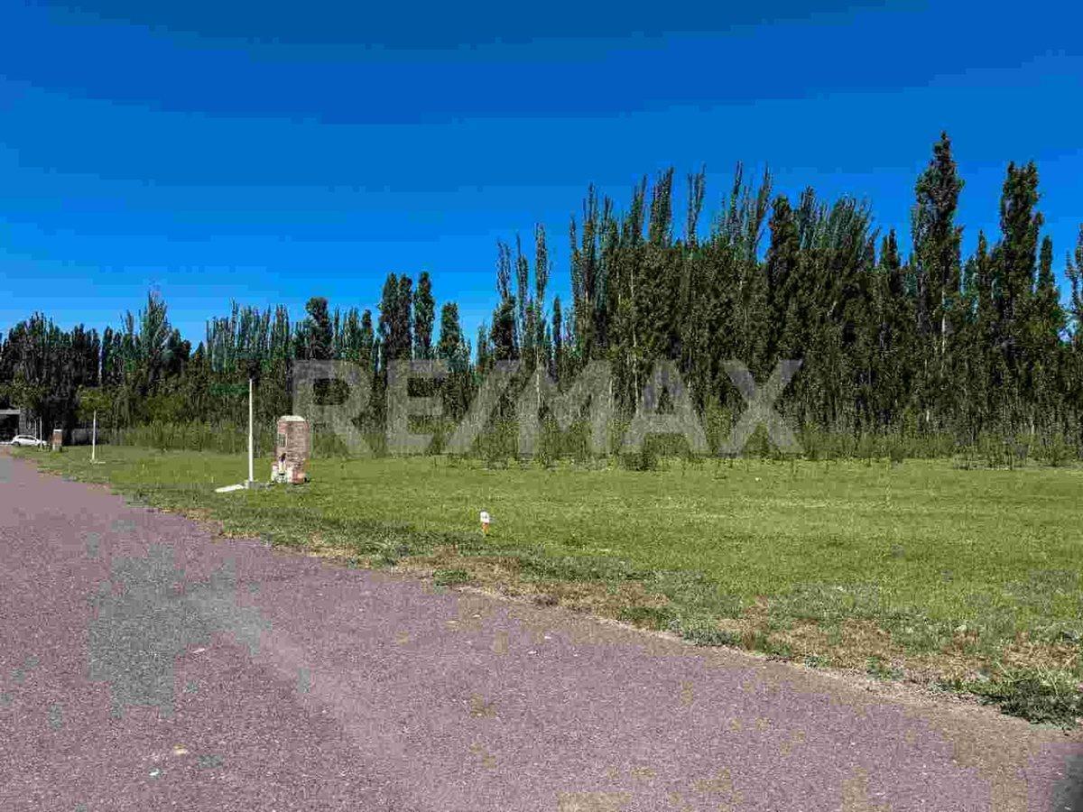 Foto de VENTA LOTE EN B. PRIVADO QUINTAS DEL SUR, UF 30, imagen 4