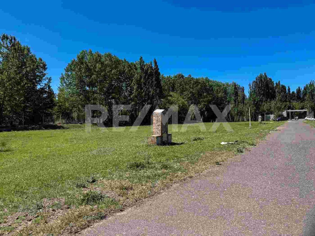 Foto de VENTA LOTE EN B. PRIVADO QUINTAS DEL SUR, imagen 5