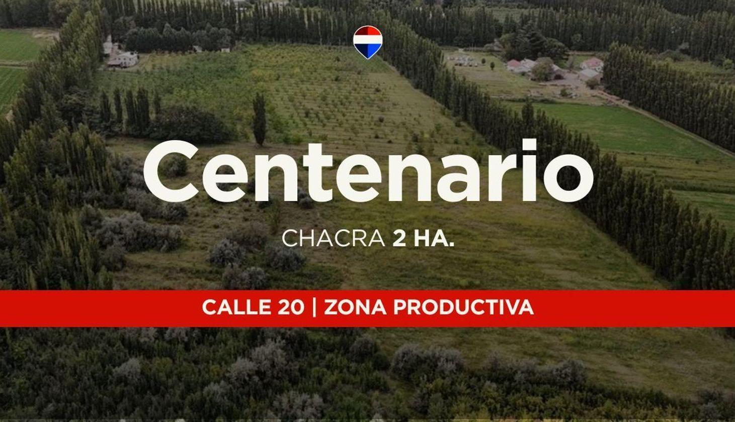 Foto de VENTA CHACRA 2,5HAS, CALLE 20 CENTENARIO - NEUQUÉN, imagen 2