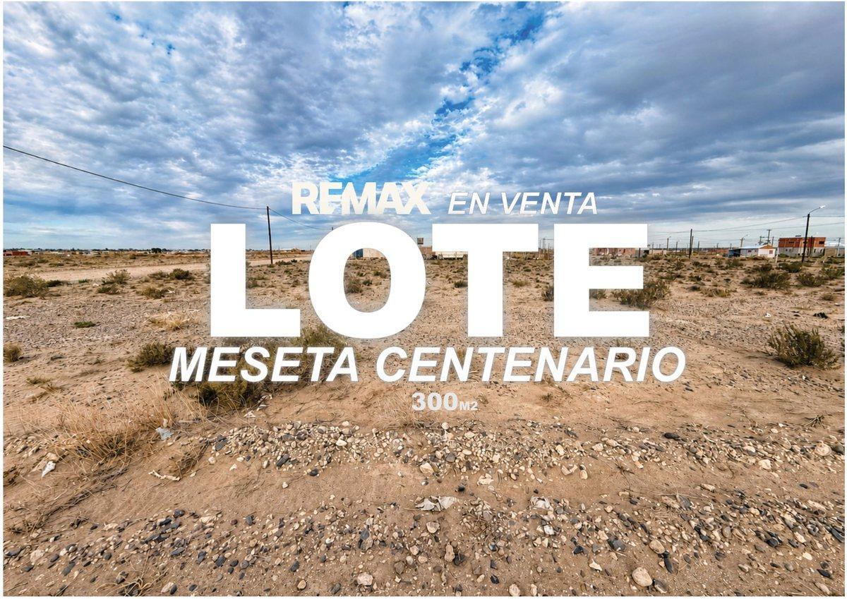 Foto de LOTE EN VENTA EN LA MESETA DE CENTENARIO, imagen 3