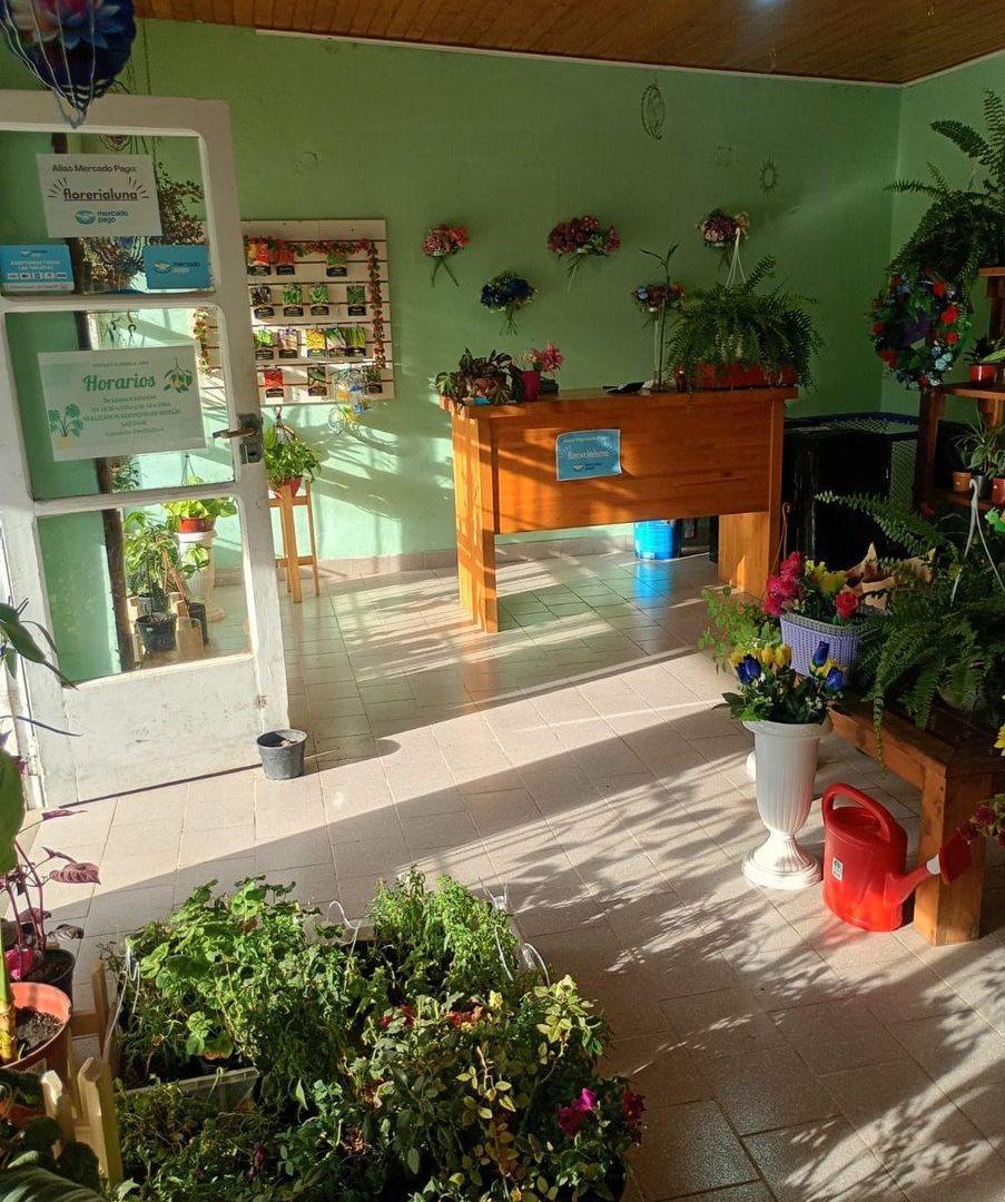 Foto de VENTA ALUMINE - LOCALES COMERCIALES Y CASA, imagen 5