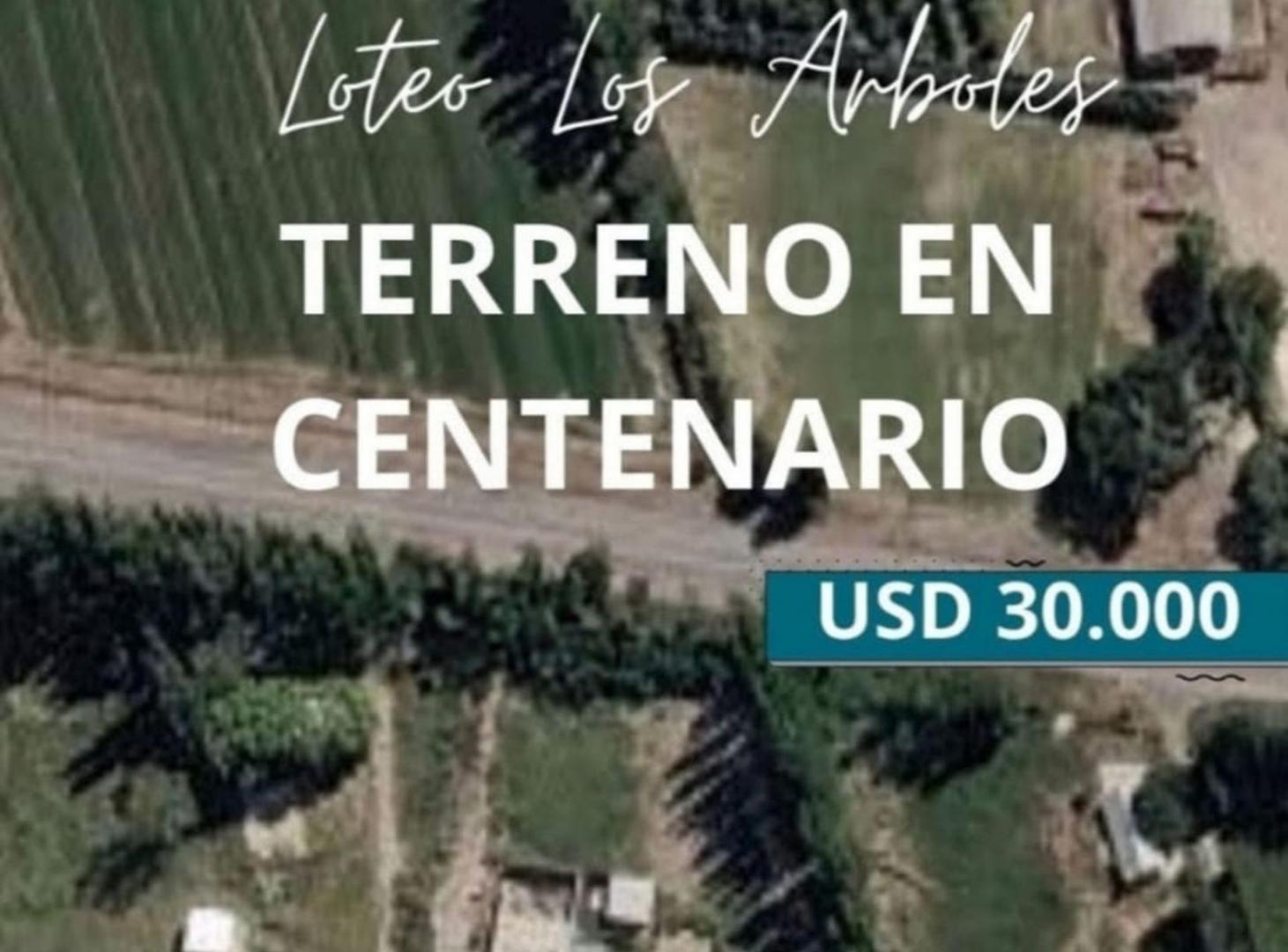 Foto de VENTA DE TERRENO EN CENTENARIO, NEUQUEN, imagen 2