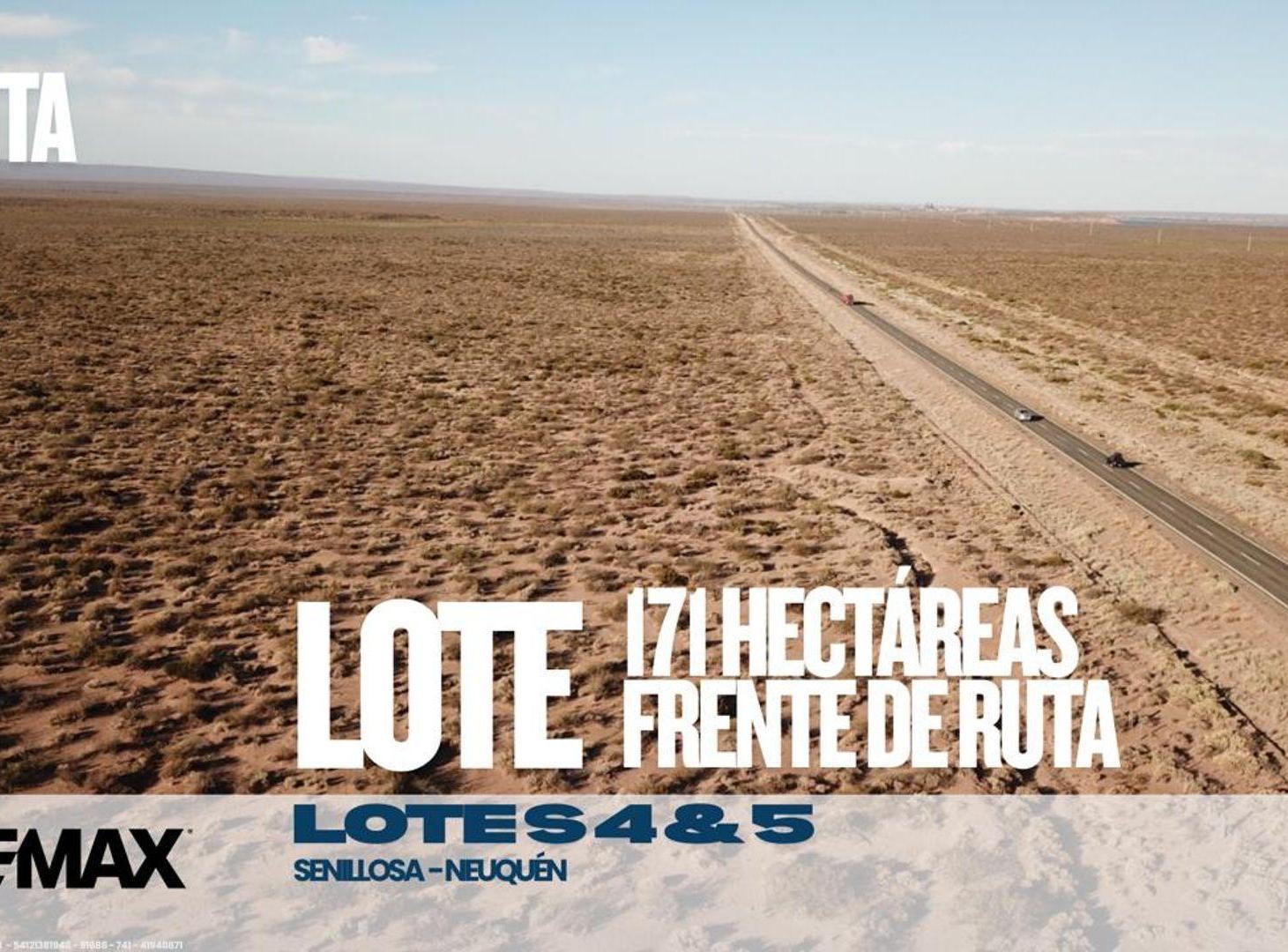 Foto de VENTA 17 HA FRENTE DE RUTA, ARROYITO., imagen 3