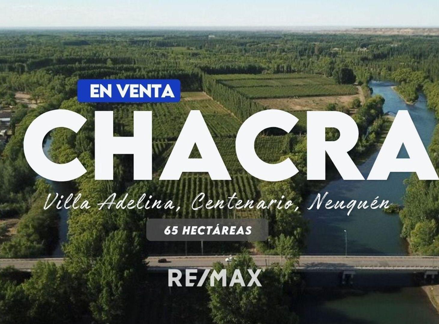 Foto de VENTA CHACRA 65 HECTÁREAS, CENTENARIO NEUQUEN, imagen 3