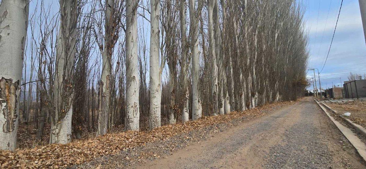 Foto de VENTA LOTE BARRIO RESIDENCIAL AYRES DEL LIMAY, imagen 2