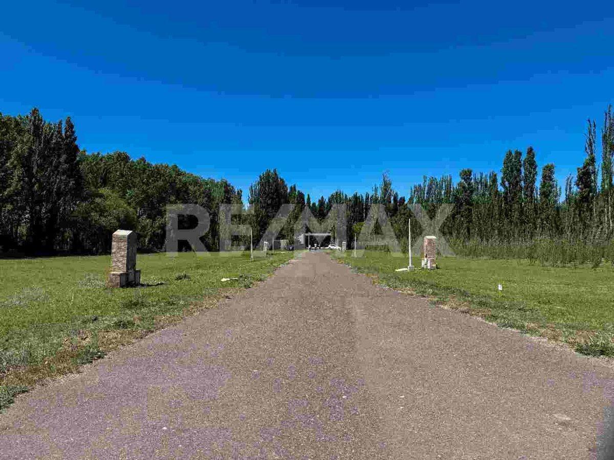 Foto de VENTA LOTE EN B. PRIVADO QUINTAS DEL SUR, imagen 5