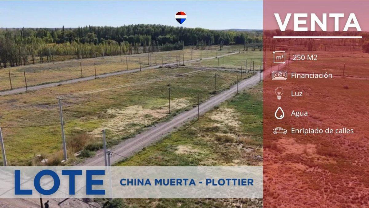Foto de VENTA LOTE 250m2 MANANTIALES DEL LIMAY PLOTTIER, imagen 1