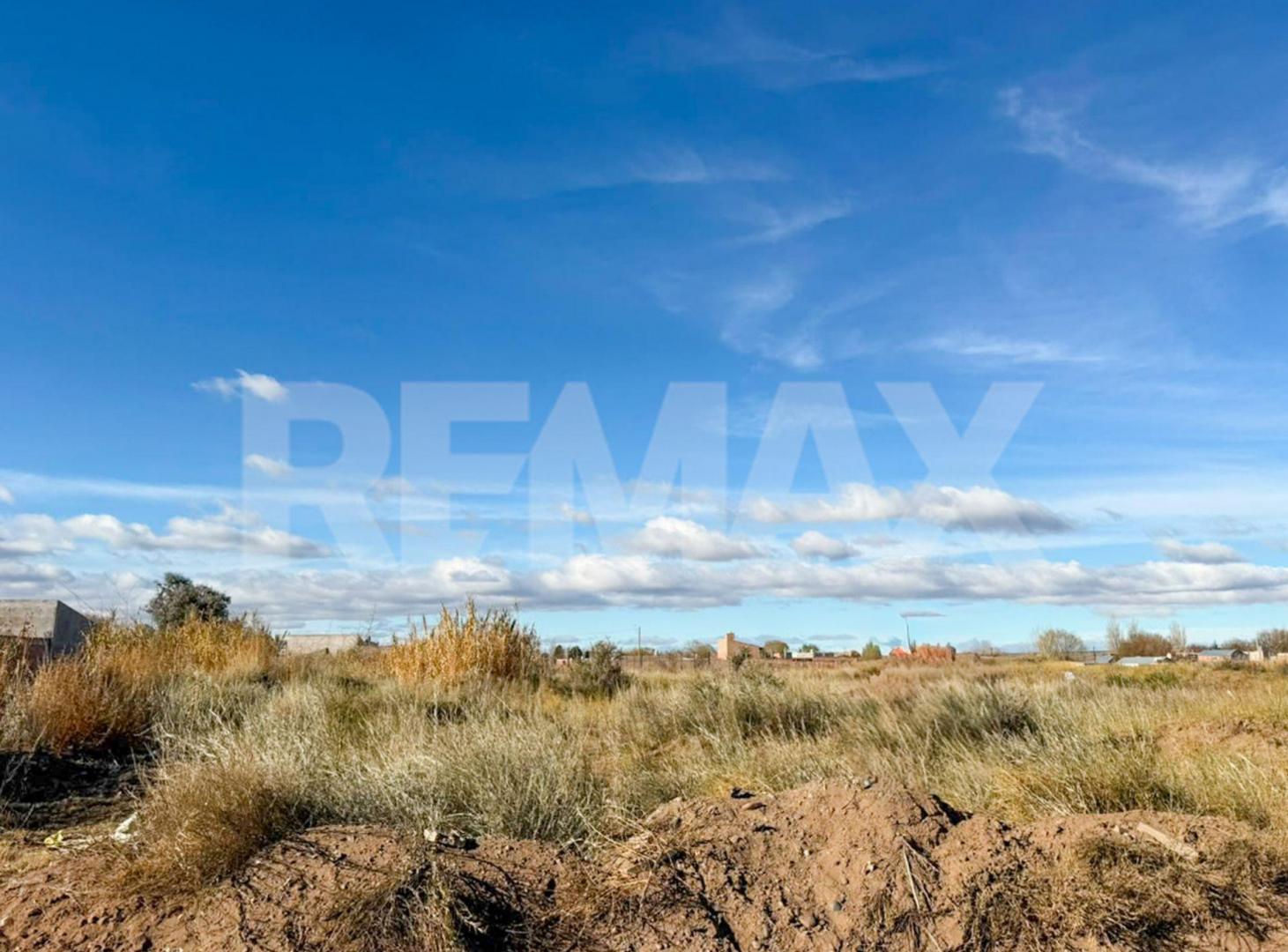 Foto de LOTE EN VENTA | SENILLOSA | PROVINCIA DE NEUQUÉN, imagen 3